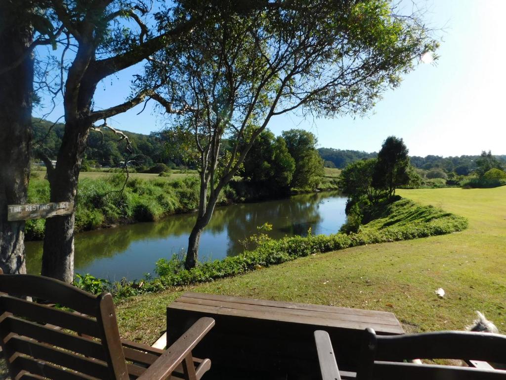 a wooden bench sitting next to a river at Riverbend Cottage Cabin - Little Heaven in Nambour