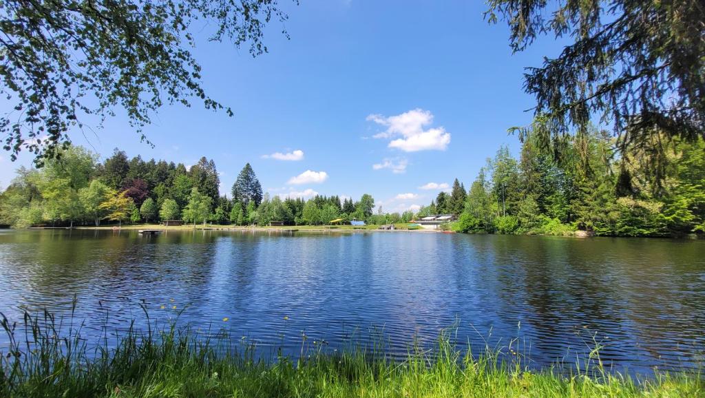 a view of a lake with trees in the background at Apartment Lindenberg FEWO in Lindenberg im Allgäu