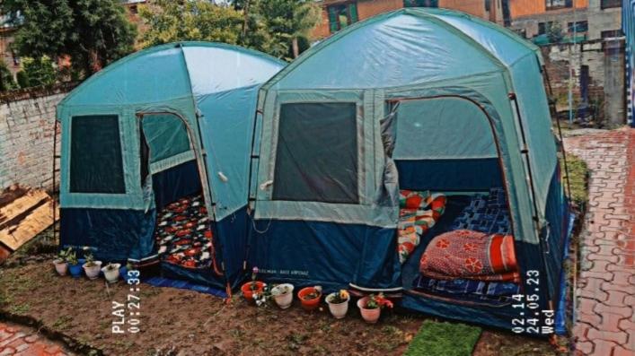 a couple of blue tents in a yard at Zions Camping sight in Srinagar