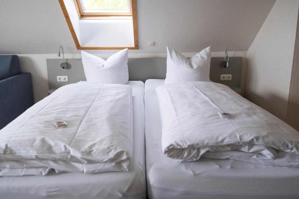 Blaues Haus SPO - 12