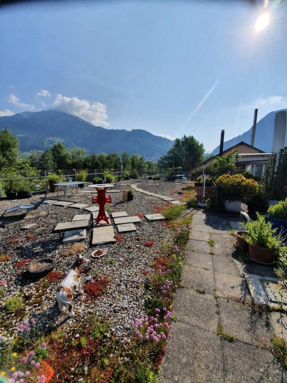 Nespecifikovaný výhled na hory nebo výhled na hory při pohledu z bed and breakfast