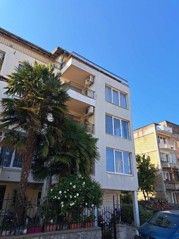 a tall building with a palm tree in front of it at Guest house Eos in Sozopol