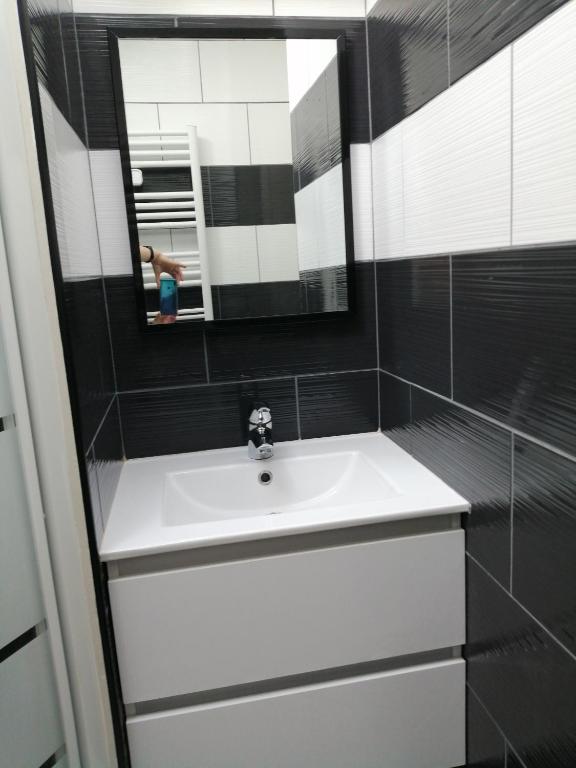 a bathroom with a sink and a mirror at Gite Bin Benaise sans linge in Pamproux