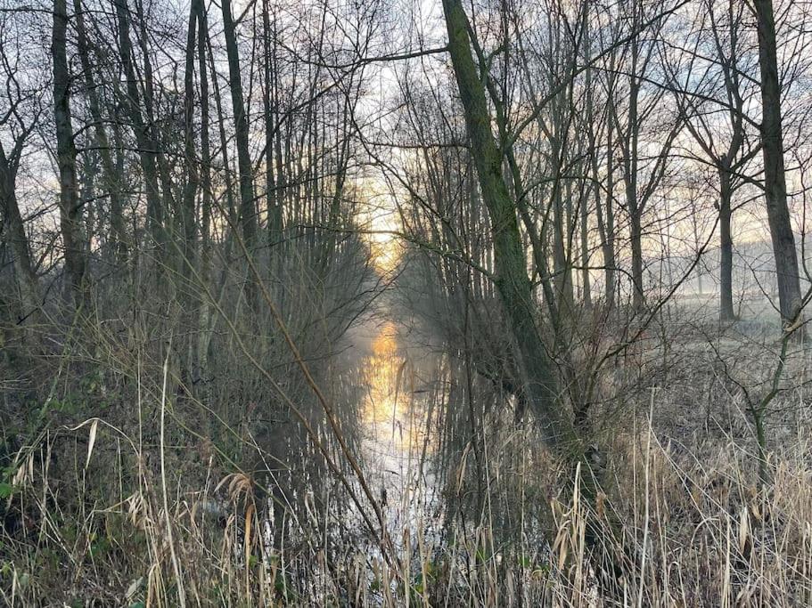 Příroda nedaleko ubytování na lodi