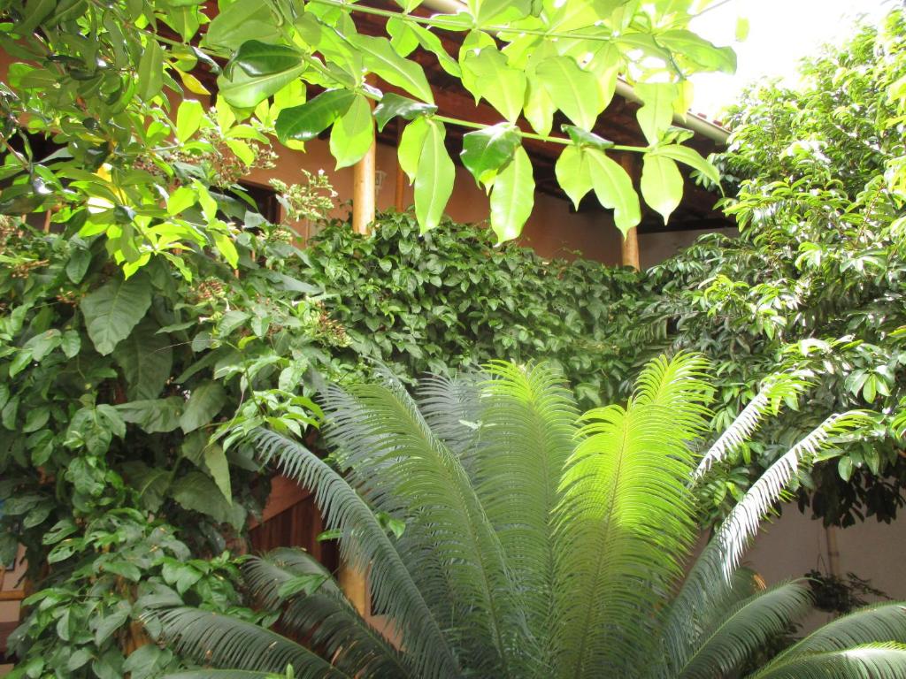  Pousada Casa de Nomades