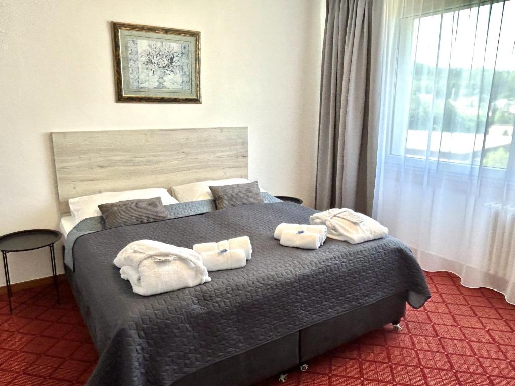 Postel nebo postele na pokoji v ubytování PATRIA HOTEL