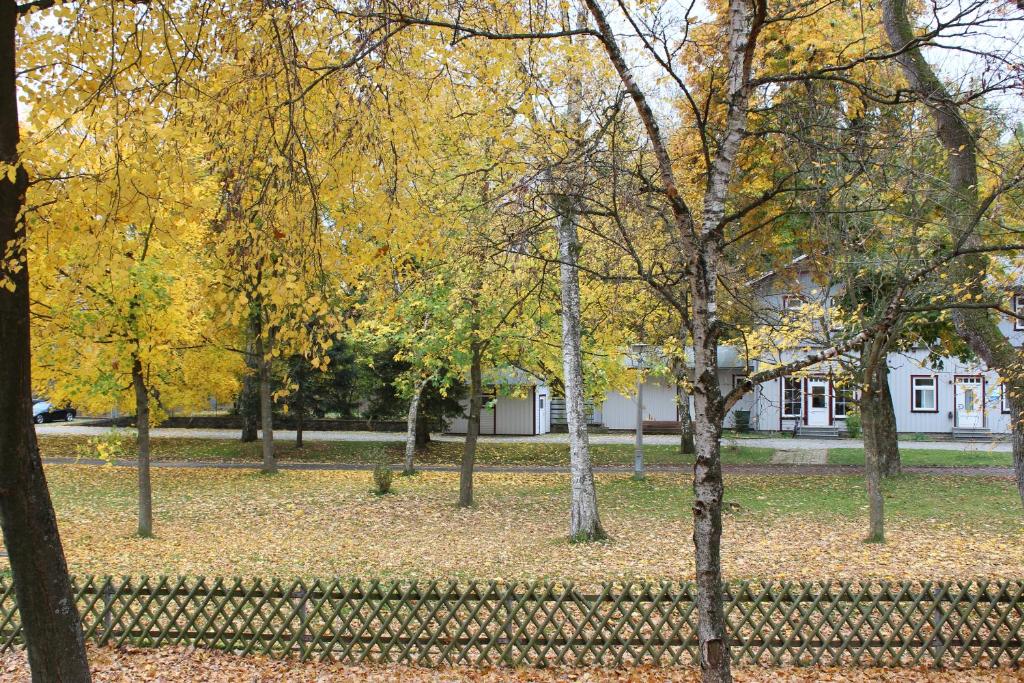 Zahrada ubytování Ferienwohnung Inga