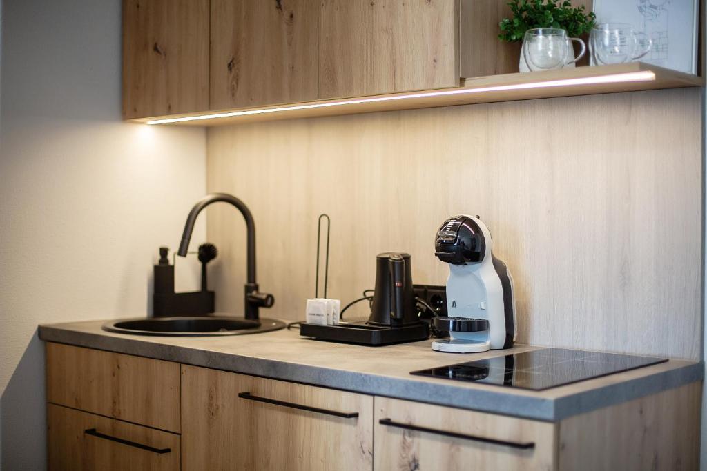 Kuchyň nebo kuchyňský kout v ubytování Hotel Tomas