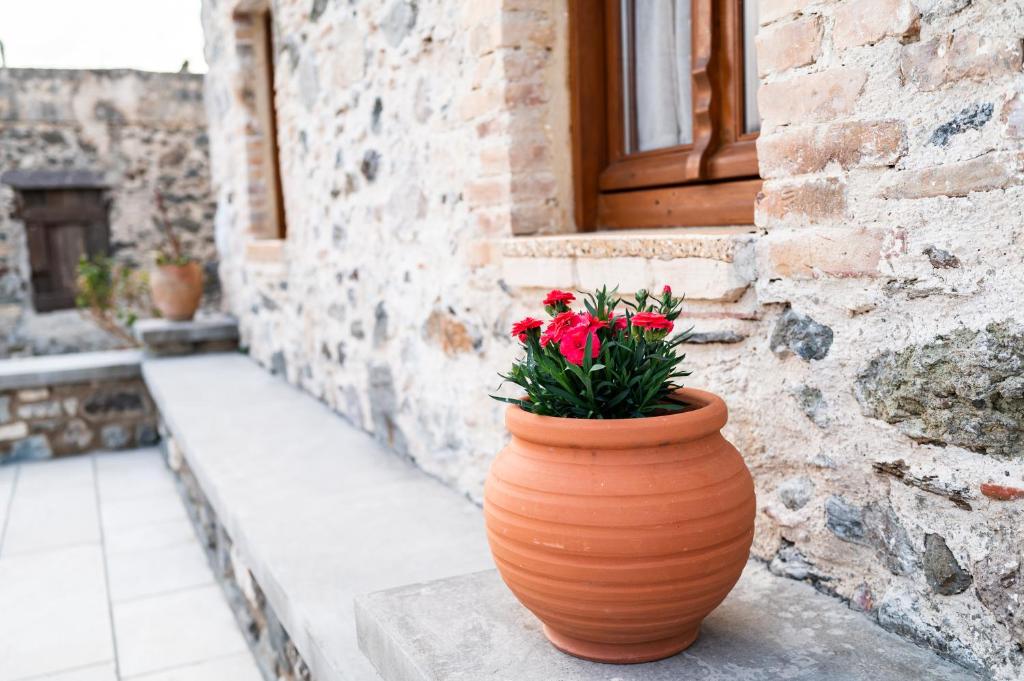 Fotografie z fotogalerie ubytování Paradisi Stone House ve městě Kos