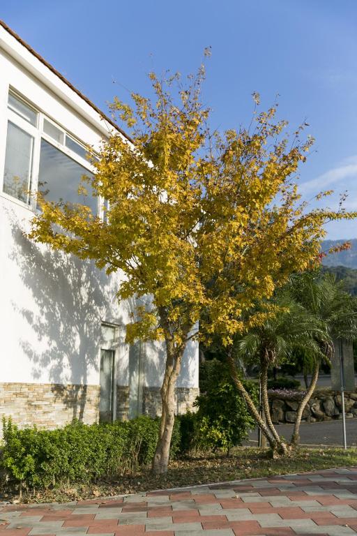 Zahrada ubytování Guanziling Lin Kuei Yuan Hot Spring Resort