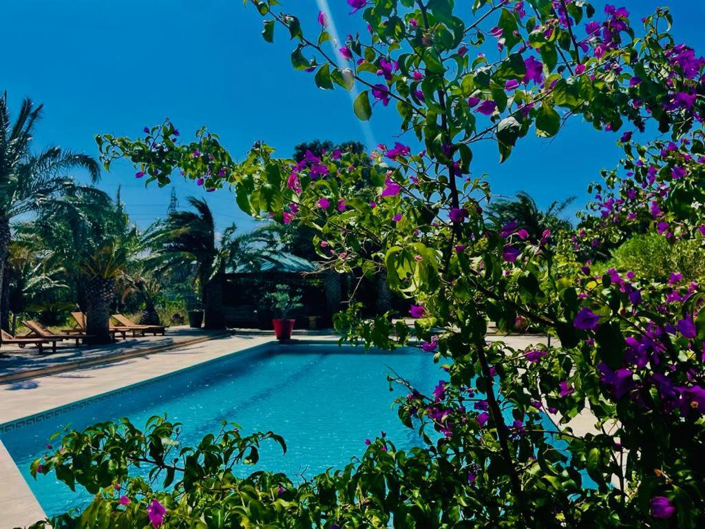 Bazén v ubytování Tropic Hôtel nebo v jeho okolí