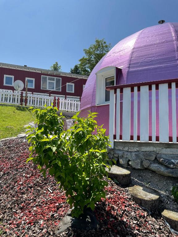 eine lila-weiße Kuppel neben einem Haus in der Unterkunft Dirndlhaus in Kirchberg an der Pielach