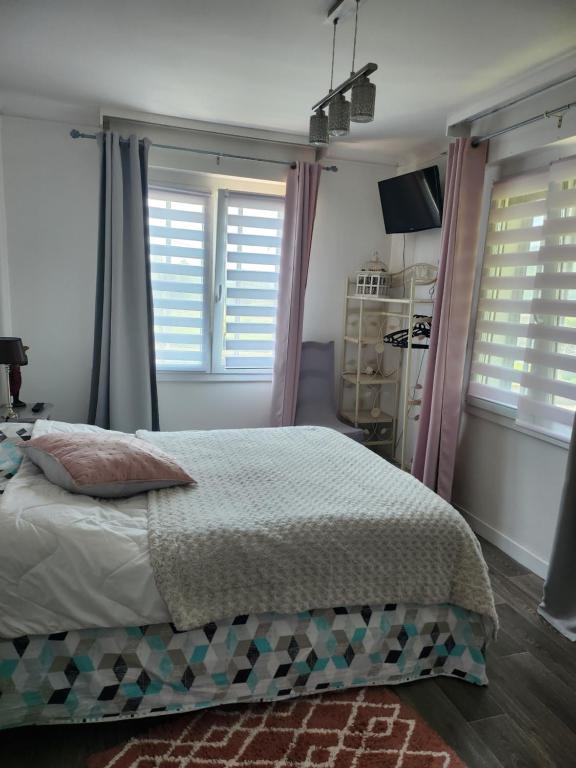 a bedroom with a bed and two windows with shutters at Le domaine de shania in Provenchères-sur-Fave