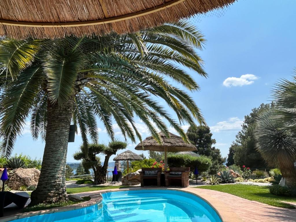 a swimming pool with palm trees in a resort at Apartments Villa BEAUTY PORTOROŽ in Portorož