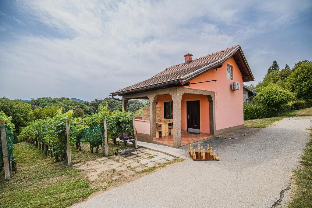a small pink house in a field of grapes at Holiday Home Vesna with Sauna in Brežice