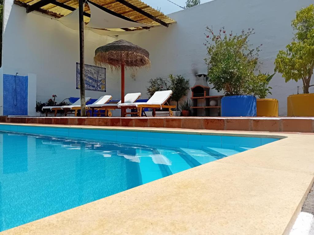 a swimming pool with chairs and an umbrella at B&B rural El Oasis in Almuñécar