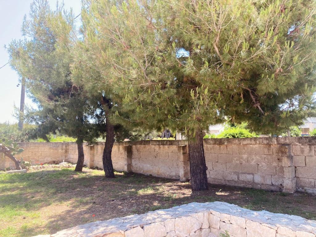 two trees in a yard next to a stone wall at La Racioppola in Ostuni