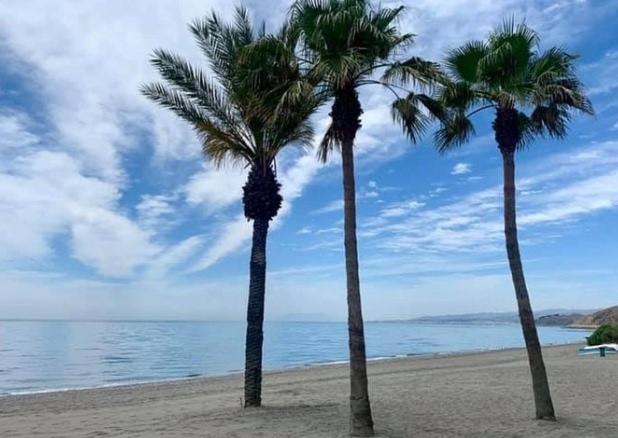 twee palmbomen op een strand bij de oceaan bij Viajero del Sol El Morche Torrox Costa Málaga in Morche