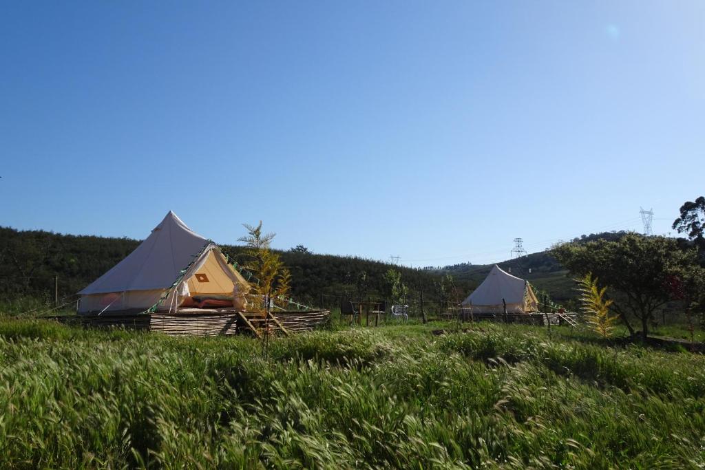eine Gruppe von Zelten auf einem Grasfeld in der Unterkunft Lost Paradise - A night into the Alentejo! in Sabóia