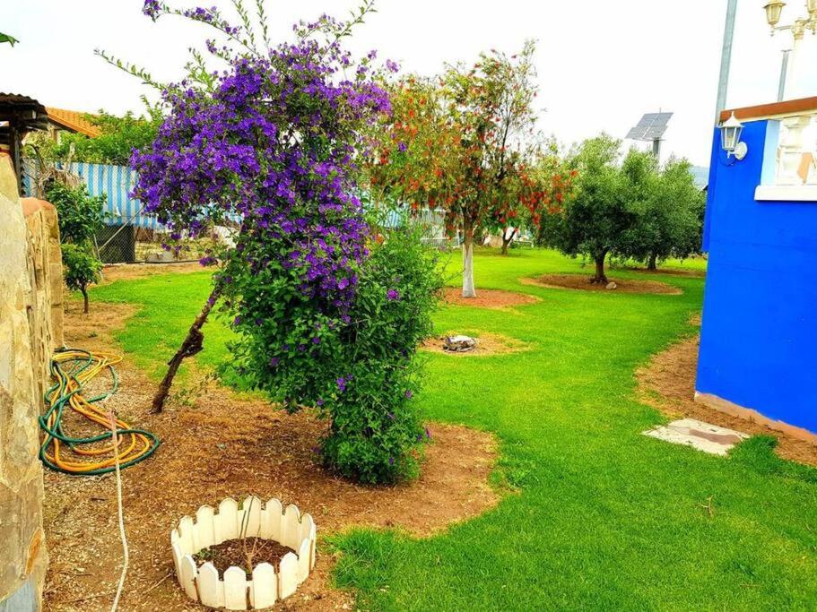 Casa Con Piscina Privada Marenyet, Cullera – Bijgewerkte ...