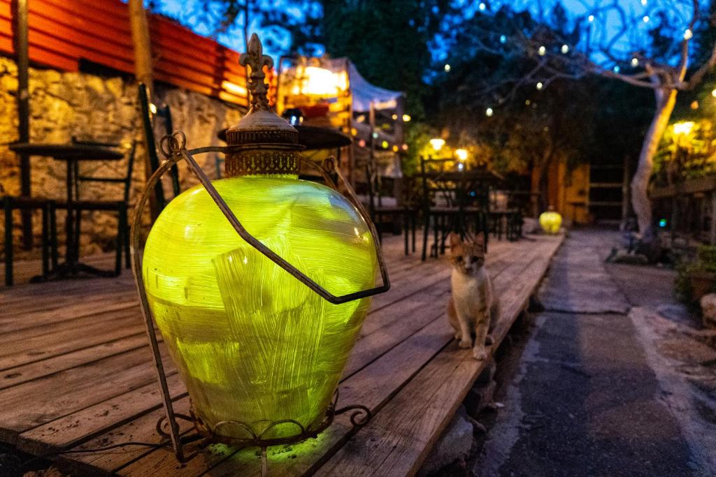 Fotografie z fotogalerie ubytování Chania Hostel Youth 18-50 ve městě Chania