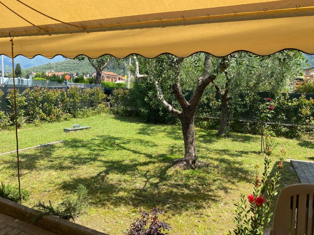 A garden outside Casa versilia