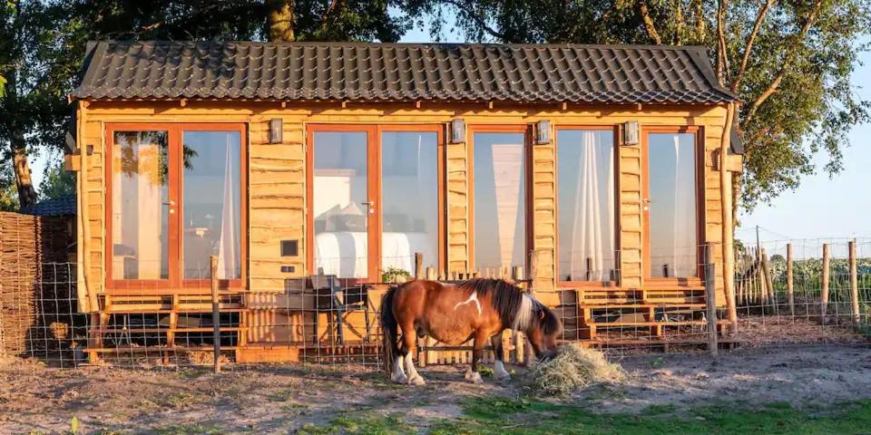 a horse standing in front of a wooden cabin at La vie en Rose - Pet friendly Tiny house in the nature with fenced garden in Torhout