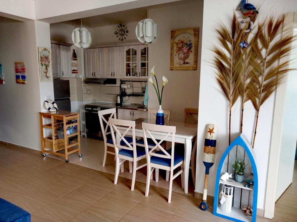 Kuchyň nebo kuchyňský kout v ubytování Ariya mare apartman Risan Montenegro, na plaži