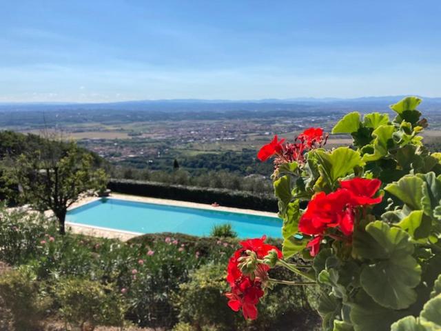 a view of a swimming pool with red flowers at Agriturismo Cima alla Serra in Buti