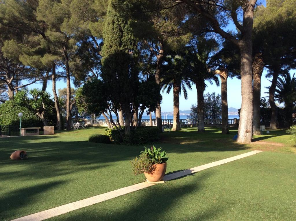 une plante en pot posée sur un chemin dans un parc dans l'établissement Méditerranée paradise, à Saint-Raphaël