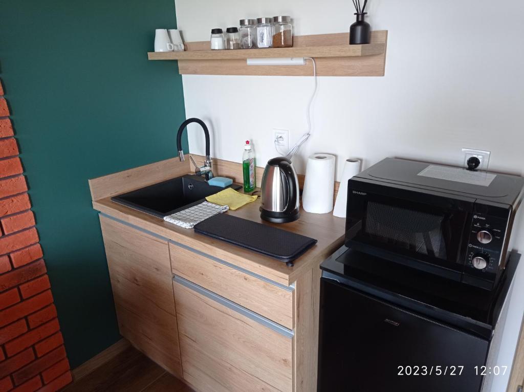 Loft Park Zator, lokalizacja przy wej Parku - 6