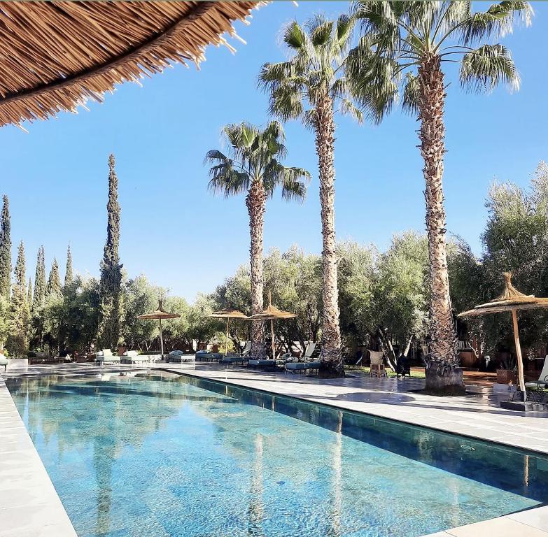 a swimming pool with palm trees and umbrellas at Domaine de Tameslohte in Tameslouht