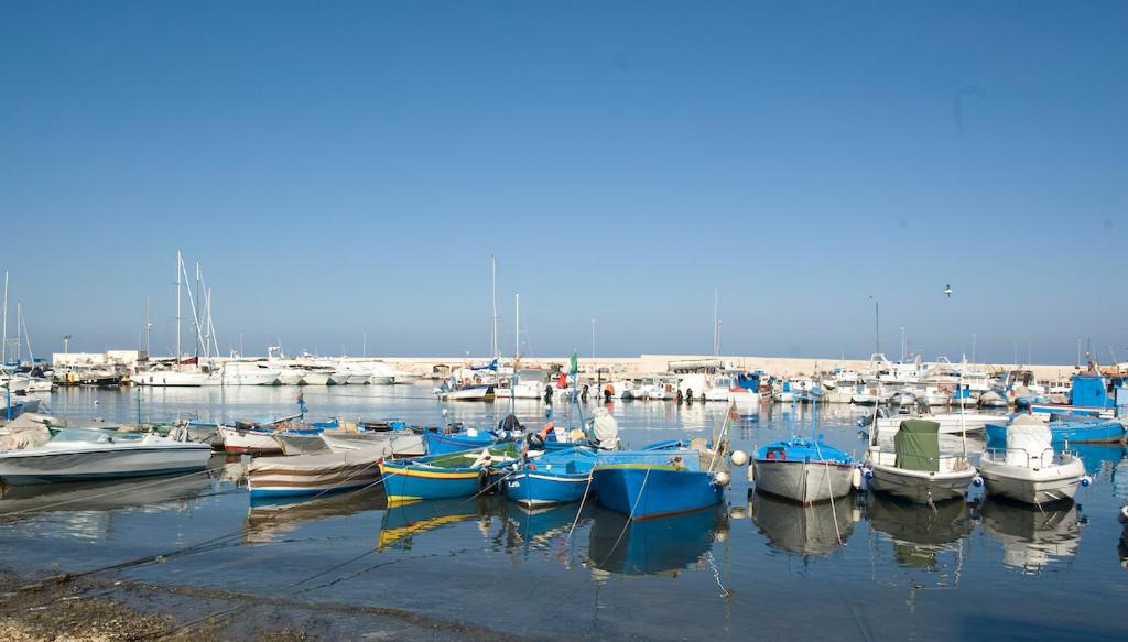 Ein paar Boote sind in einem Hafen angedockt. in der Unterkunft Regina di Cuori in Mola di Bari