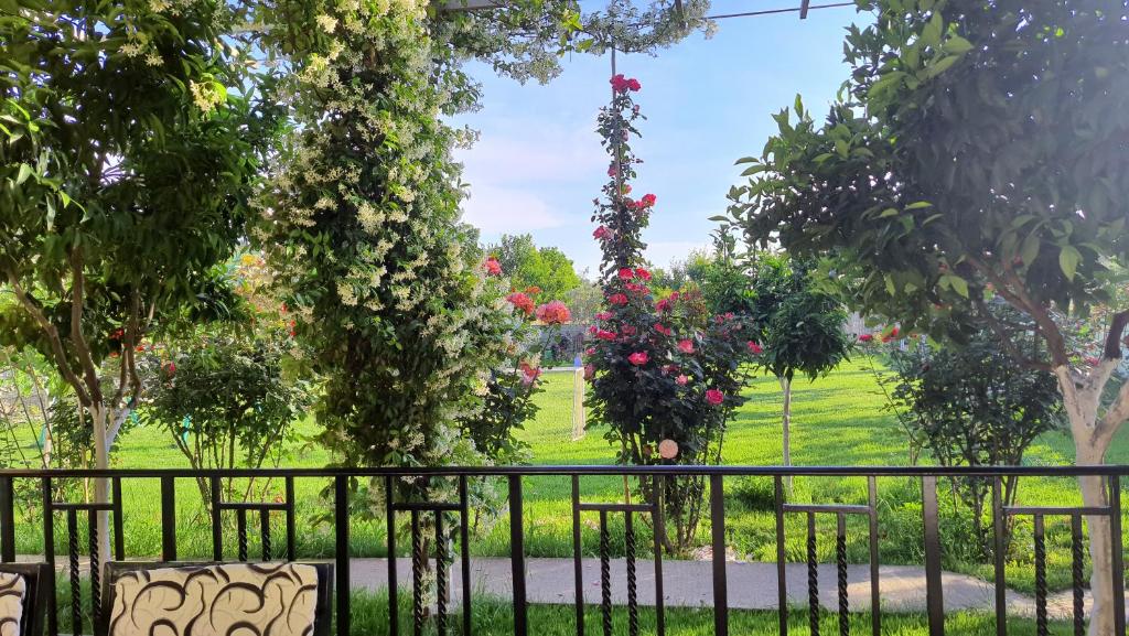 un jardín con flores colgando de una valla en Room with private garden, en Shkodër