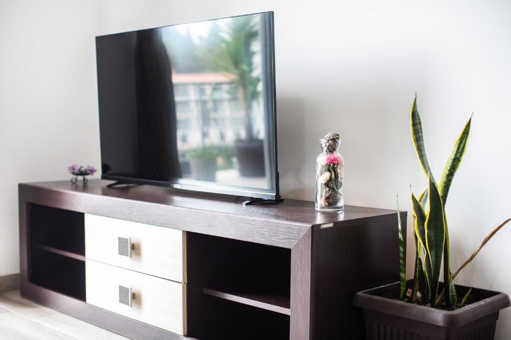 TV a/nebo společenská místnost v ubytování Apartments Jelena Ulcinj