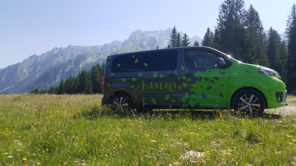 Příroda nedaleko hotelu