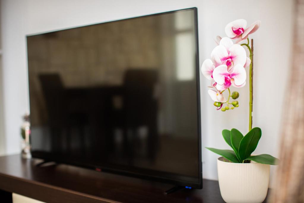 TV a/nebo společenská místnost v ubytování Apartments Jelena Ulcinj