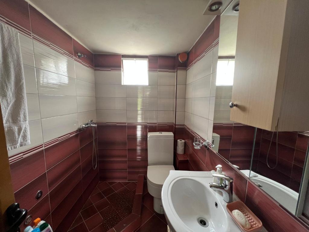 een kleine badkamer met een toilet en een wastafel bij Anastasia'S Guest House in Përmet
