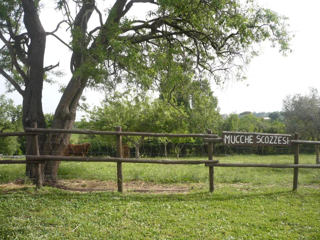 Jardí fora de Il Baffetto B&B