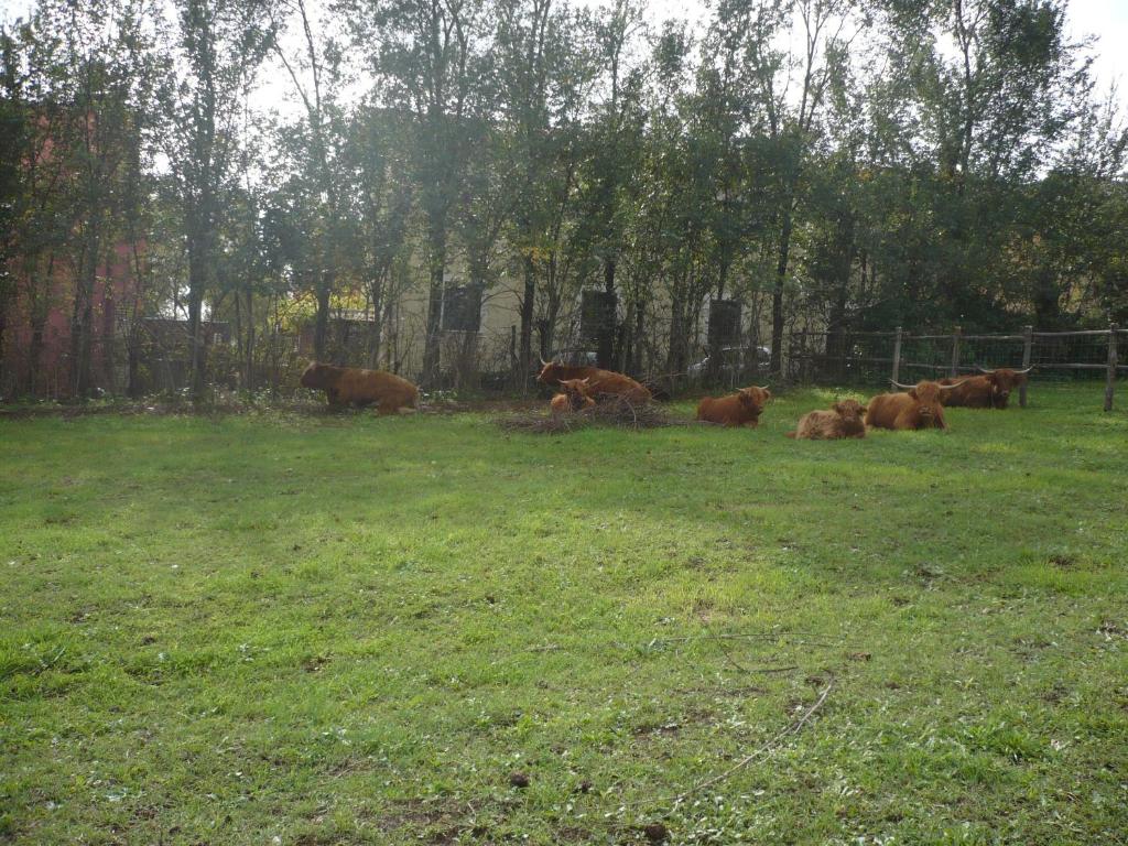Foto de la galeria de Il Baffetto B&B a Roma