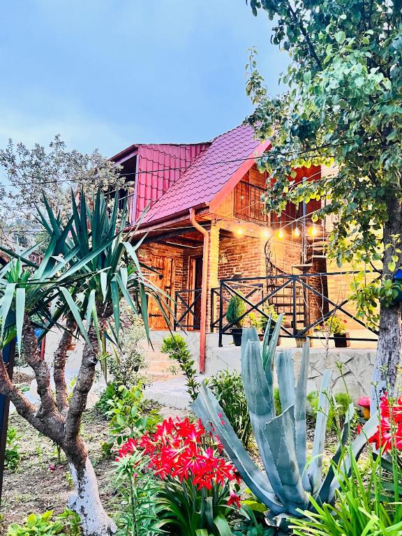 Zahrada ubytování Sunshine House