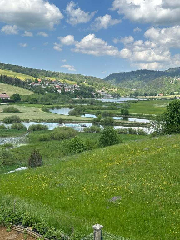 a green field with a river in the distance at Bel appartement cosy proche de la frontière Suisse in Villers-le-Lac