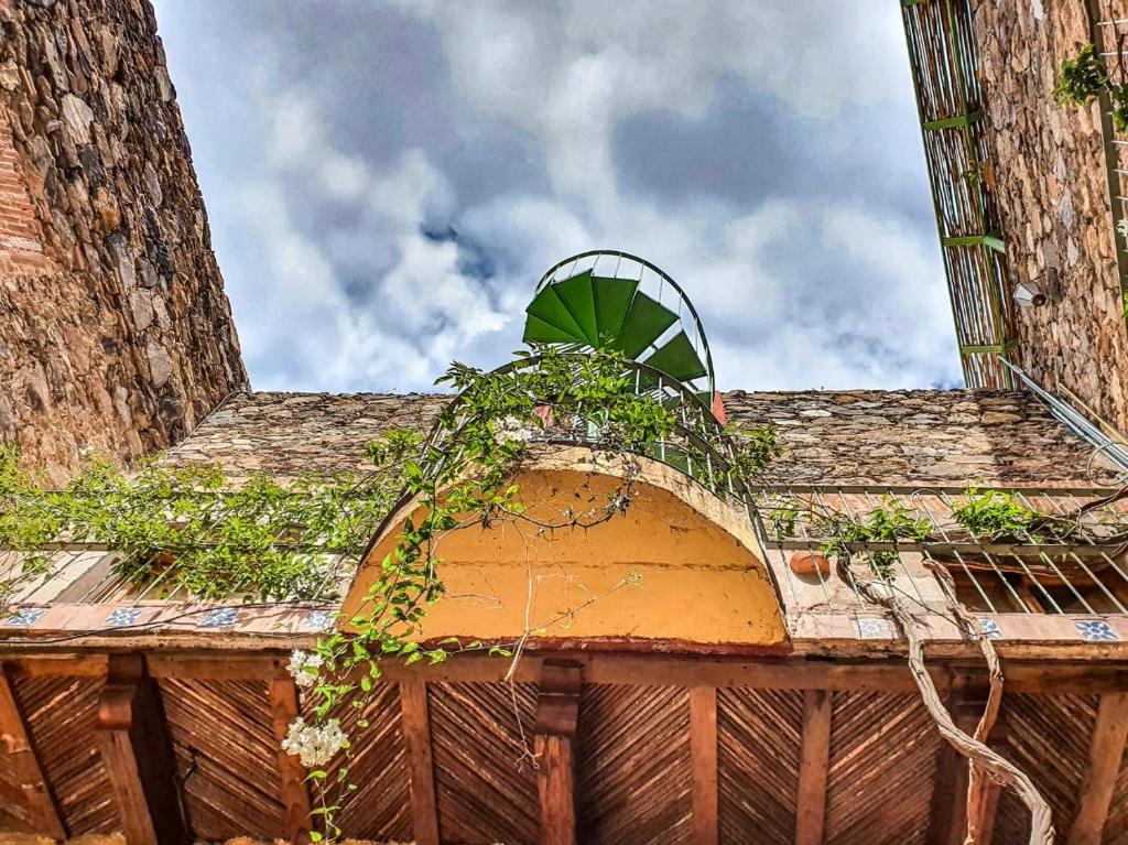 a balcony with a green plant on top of a building at Hotel Shantiniketan in Real de Catorce