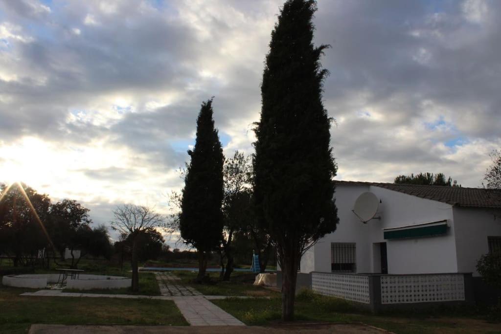 Casas y chalets La casa del inglés en Valverde de Mérida, Extremadura