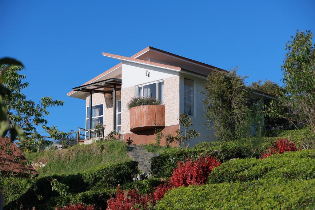 Zahrada ubytování Planters Punch Resort