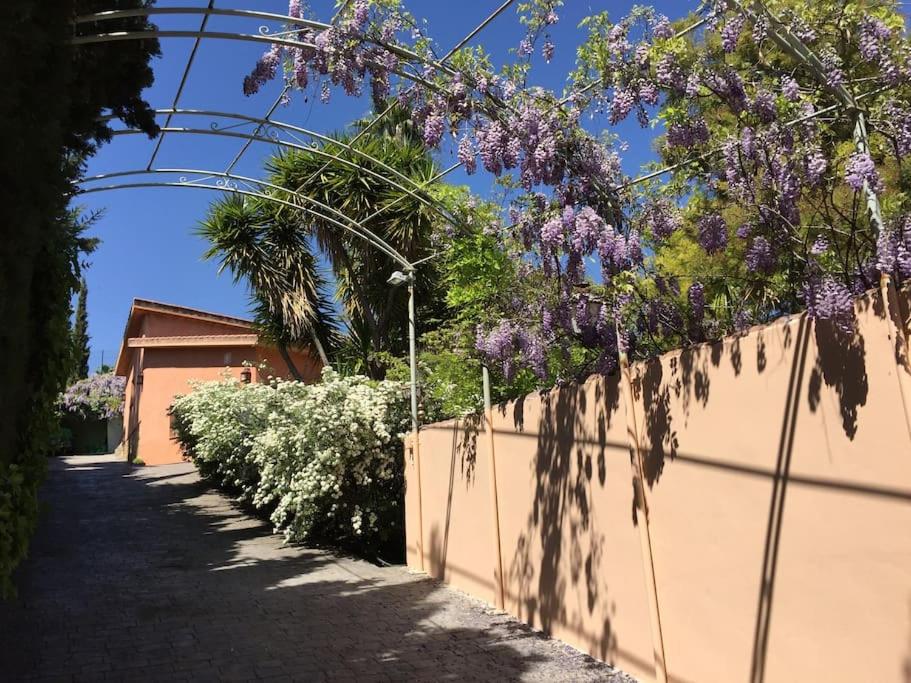 Fotografie z fotogalerie ubytování La Casita de Teresa v destinaci Córdoba