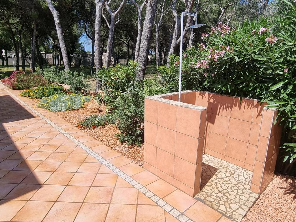 Ogród w obiekcie Villa Edoardo con pineta a 250 metri dal mare