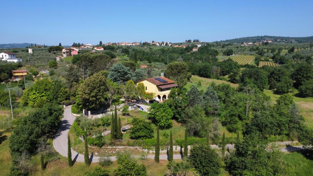 B&B Terre Toscane في Ciggiano: اطلالة جوية على منزل على تلة فيها اشجار
