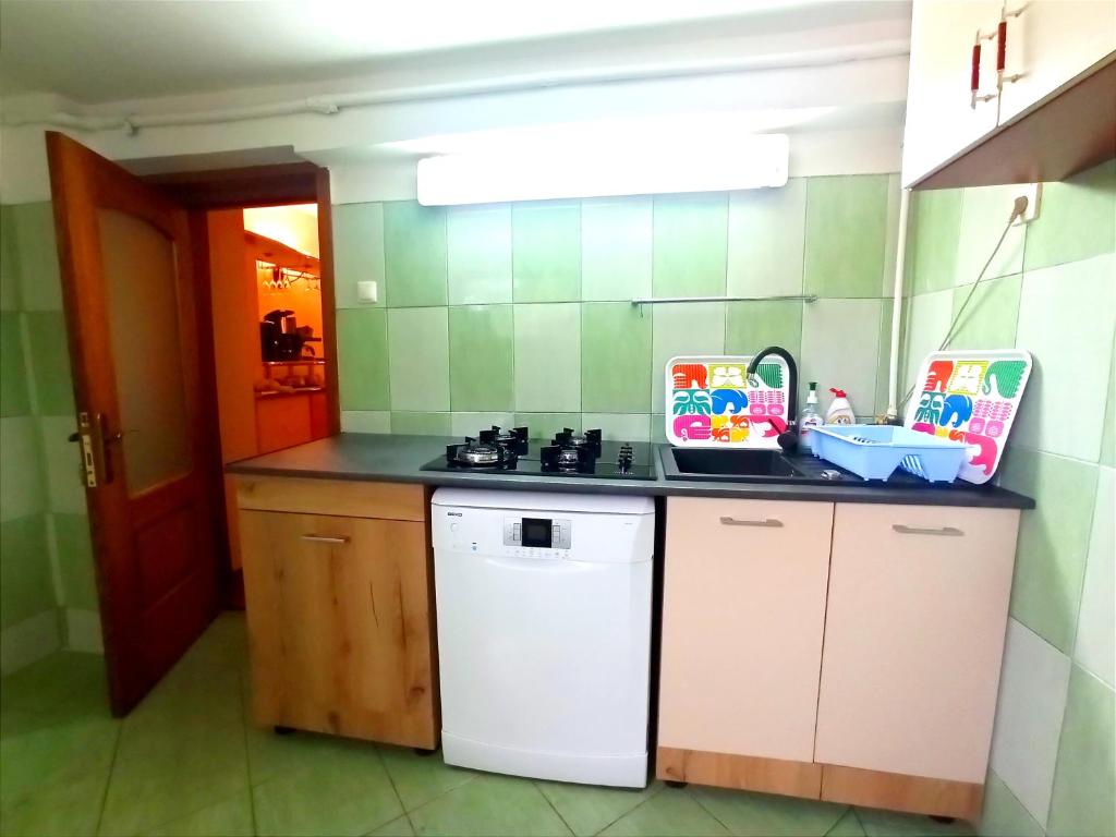 Kuchyň nebo kuchyňský kout v ubytování Pensiunea Roșu Litoral