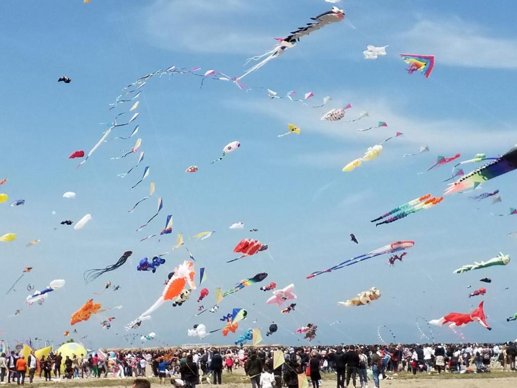 Hosté ubytování Fenicottero Rosa